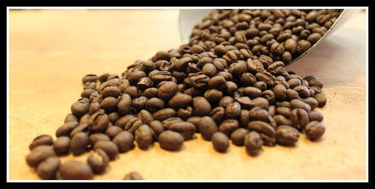 Peaberry Blend | Medium Roast Coffee | Black Powder Coffee
